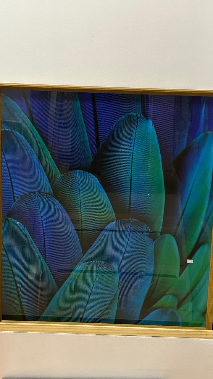 QUADRO BLUE WINGS 80X100CM