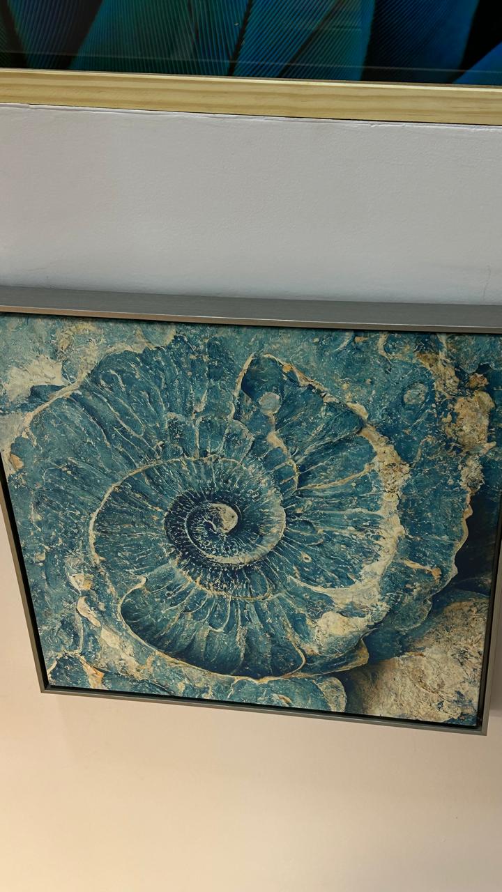 QUADRO CORAL AZUL