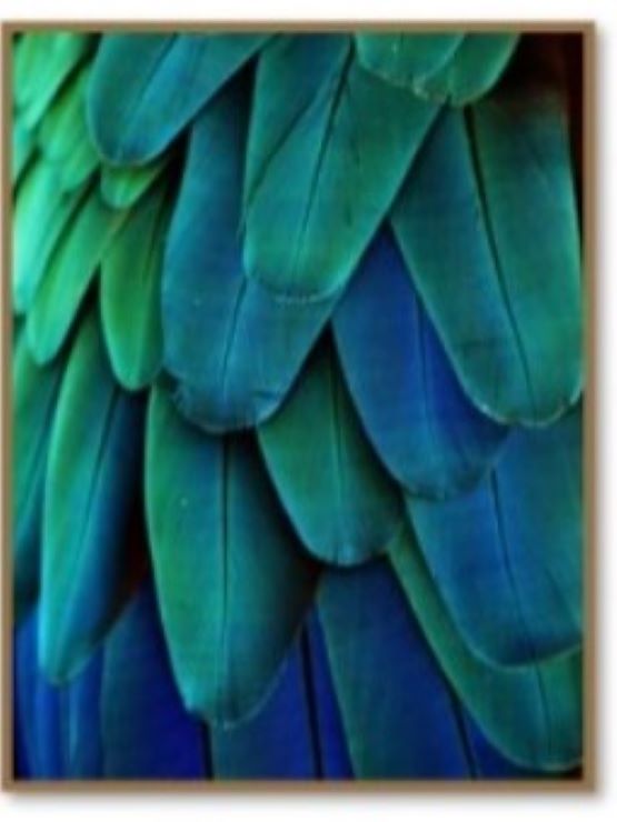 QUADRO BLUE WINGS 80X100CM - AQUI VC DECORA