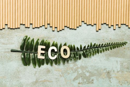 DICAS PARA UMA REFORMA/DECORAÇÃO SUSTENTÁVEL!