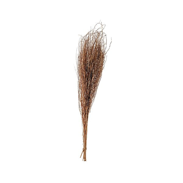 SNOW GRASS PRESERVADO
