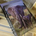 LIVRO CAIXA ELEFANTE M