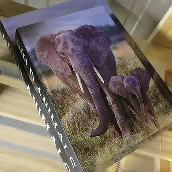 LIVRO CAIXA ELEFANTE M