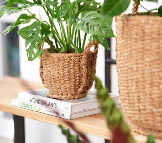 CESTO SEAGRASS RAY NATURAL D17 A17