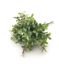PLANTA ARTIFICIAL FOLHAGEM VERDE