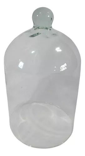 REDOMA DE VIDRO CÚPULA