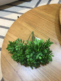 Folhagem Verde D