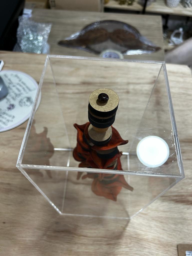 CUBO ESCULTURA SEMENTES SKELLE - AQUI VC DECORA