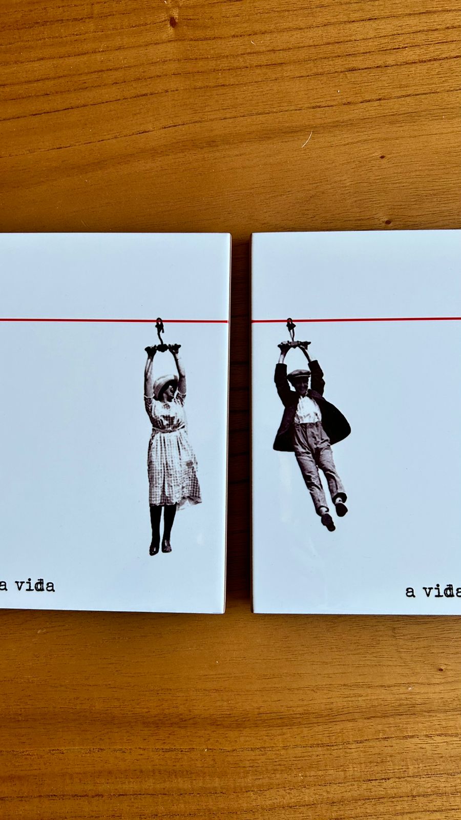 Cj. de 2 azulejos A gente leva da vida...