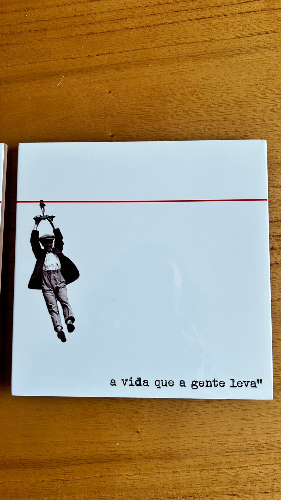 Cj. de 2 azulejos A gente leva da vida...