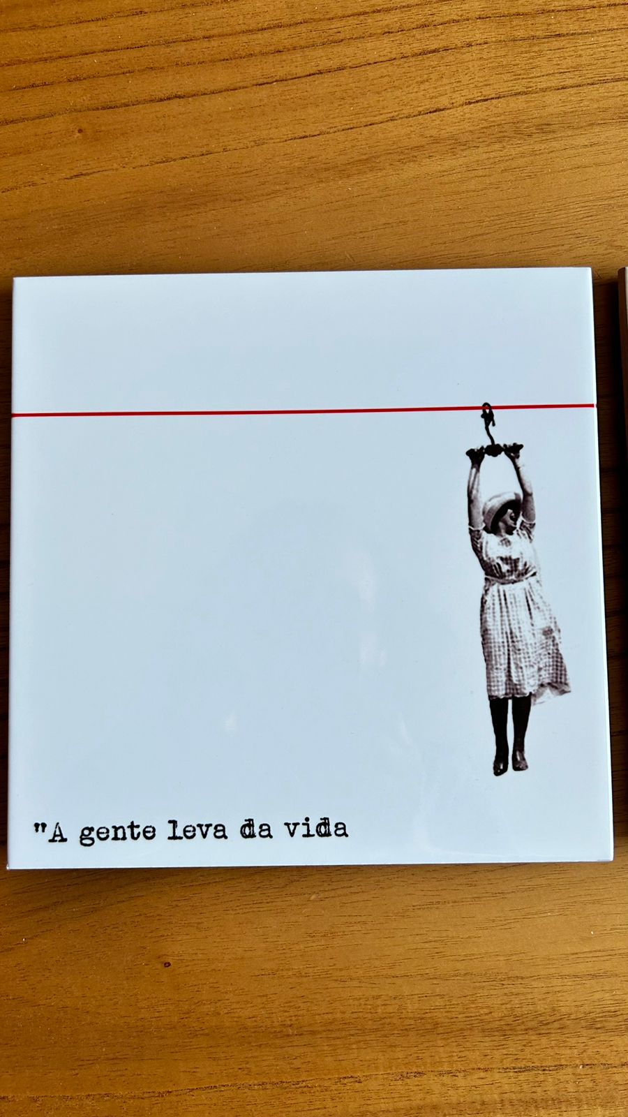 Cj. de 2 azulejos A gente leva da vida...