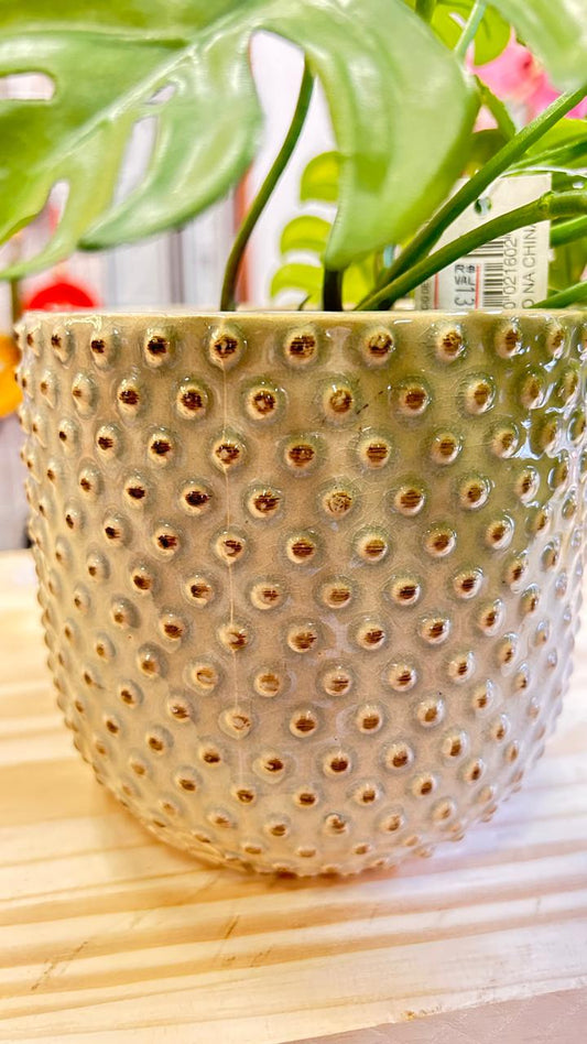 VASO BOLINO MENTA