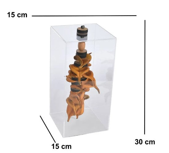 CUBO ESCULTURA SEMENTES SKELLE - AQUI VC DECORA