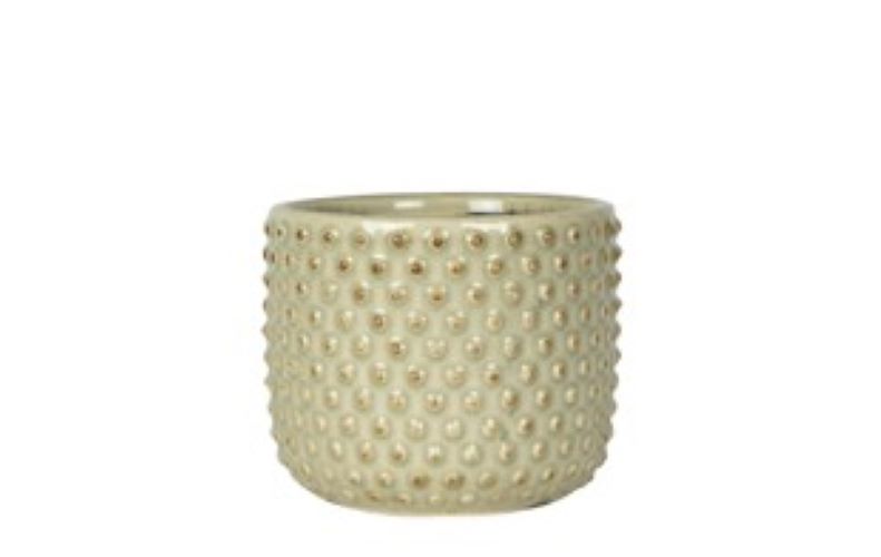 VASO BOLINO MENTA